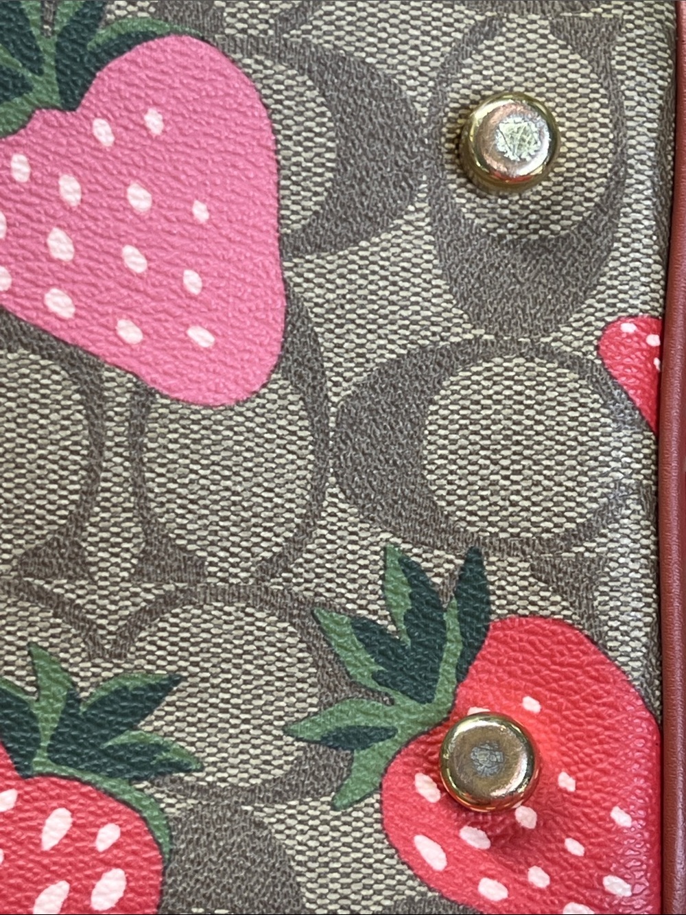 Coach Rowan Satchel with wild Red Strawberry Print - Picture 16 of 16